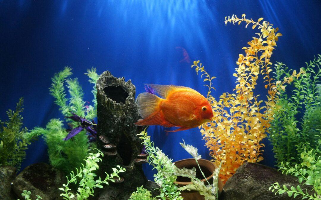 The Invisible Killer: Why Clear Water Doesn’t Always Mean Safe Water